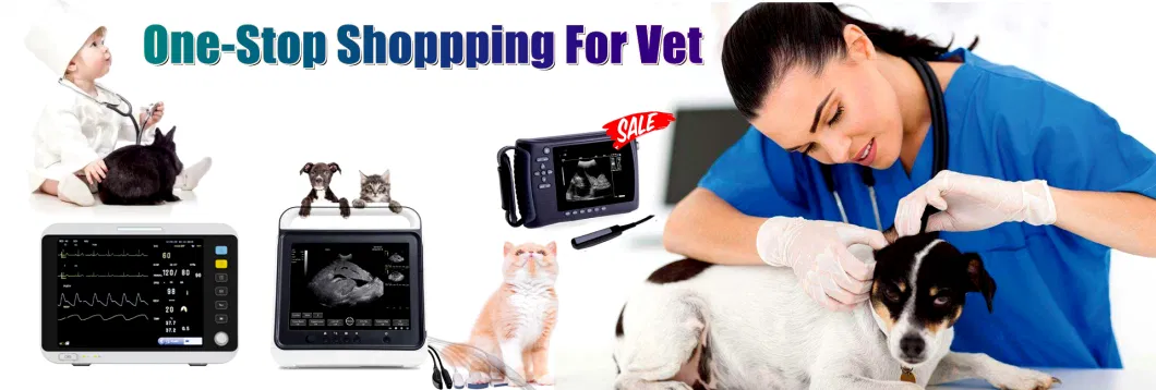 Veterinary Equipment China Ophthalmology Digital Slit Lamp Ophthalmic Portable Slit Lamp for Vet