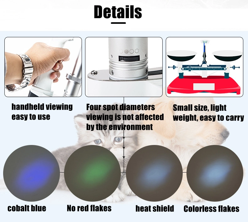 Veterinary Equipment China Ophthalmology Digital Slit Lamp Ophthalmic Portable Slit Lamp for Vet