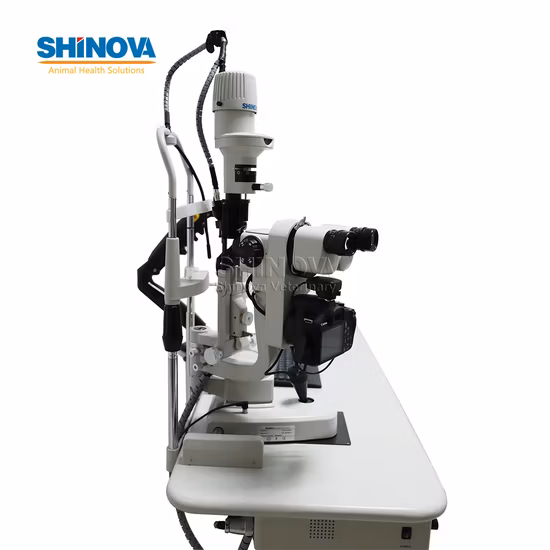 Veterinary Medical Digital Slit Lamp (SL